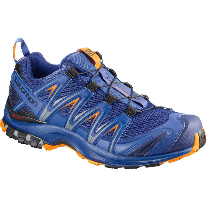 Chaussures De Trail Running Salomon Homme Bleu Foncé - Salomon XA PRO 3D - France (1674-TOUND)